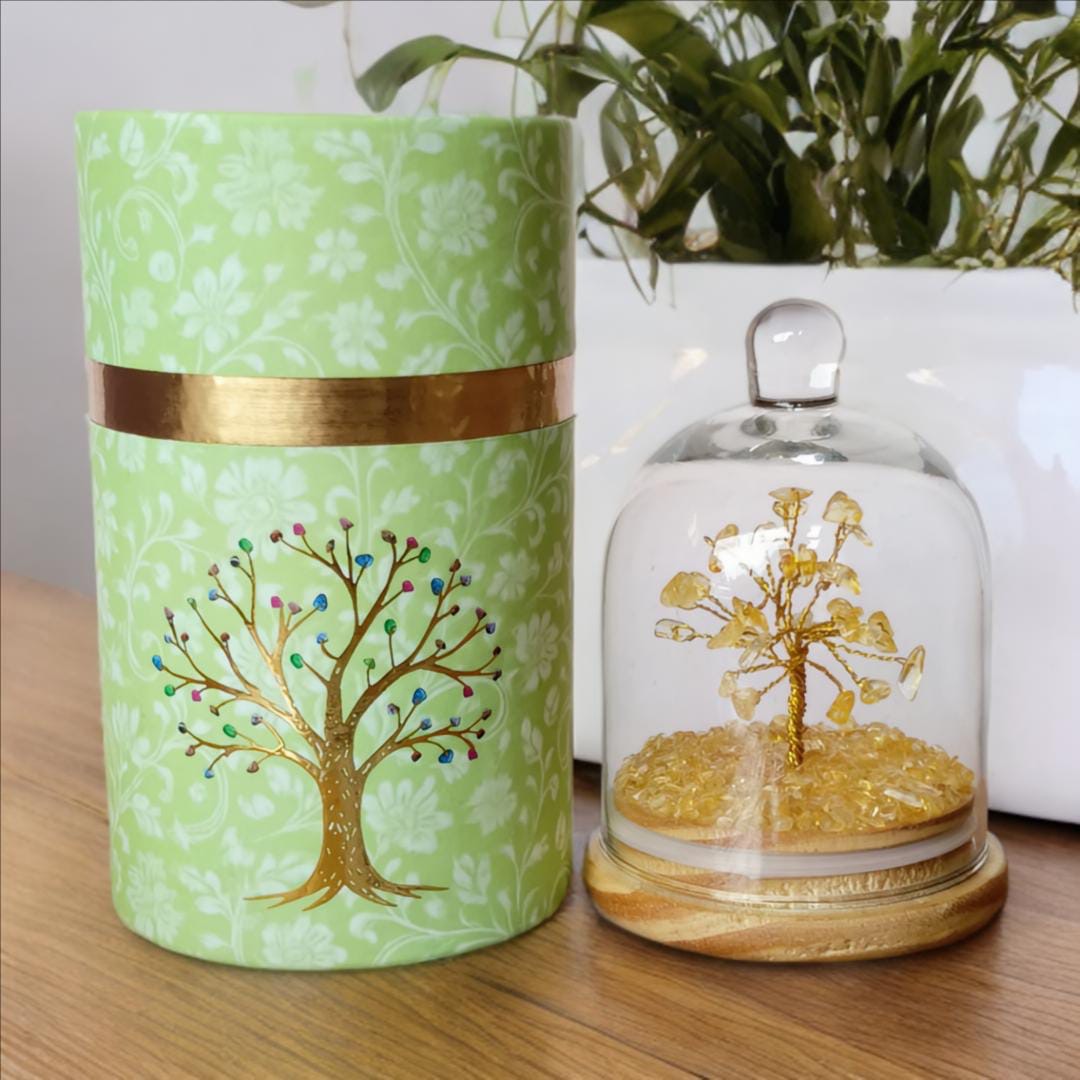 Citrine Natural Crystal Tree (Wealth and Abundance) glass dome cloche style with a decorative box base by Leeshade