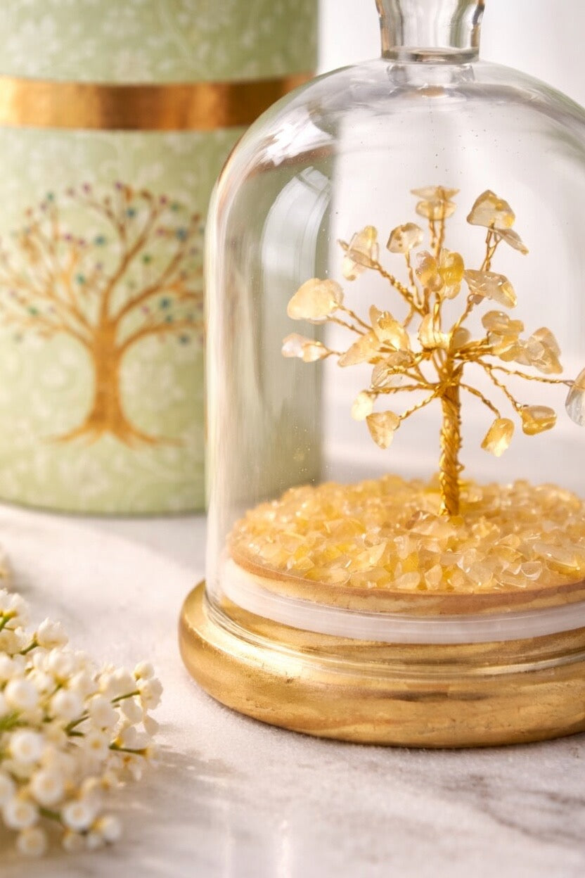 Citrine Natural Crystal Tree (Wealth and Abundance) glass dome cloche style with a decorative box base by Leeshade